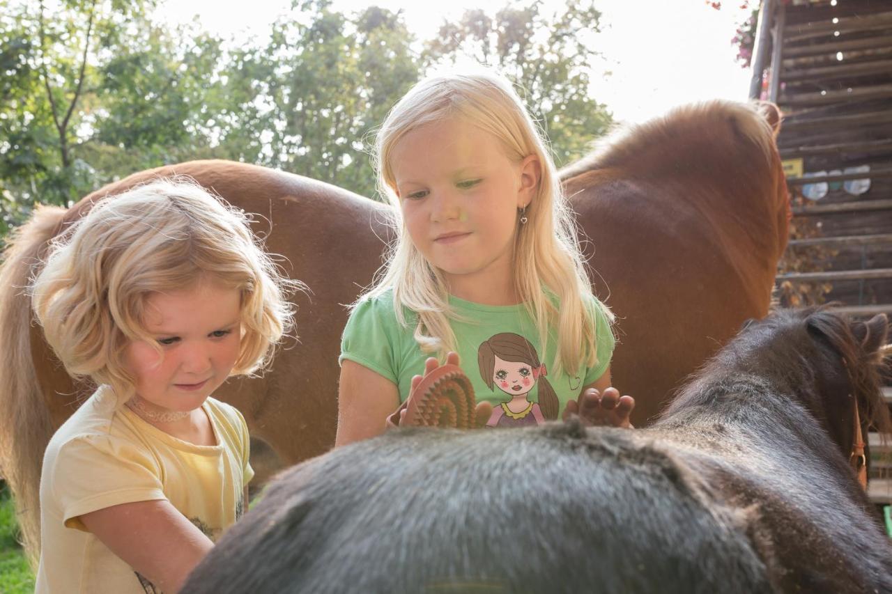 Farm stay Spreitzhofer Sankt Kathrein am Offenegg