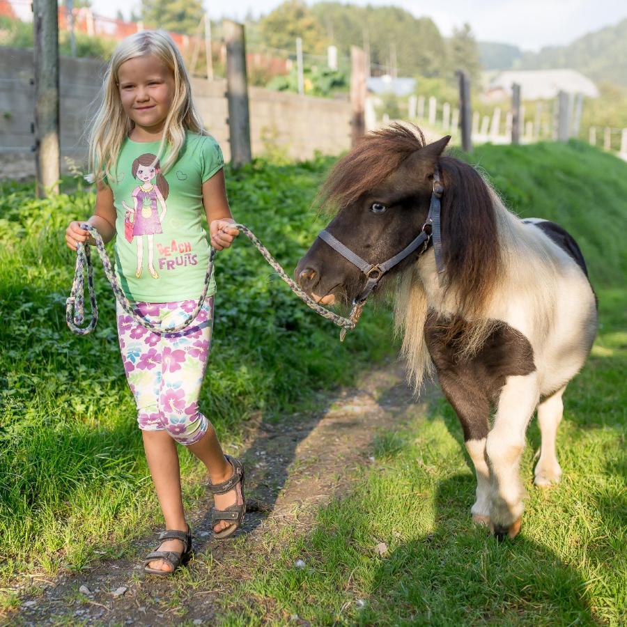 Spreitzhofer Farm stay Sankt Kathrein am Offenegg
