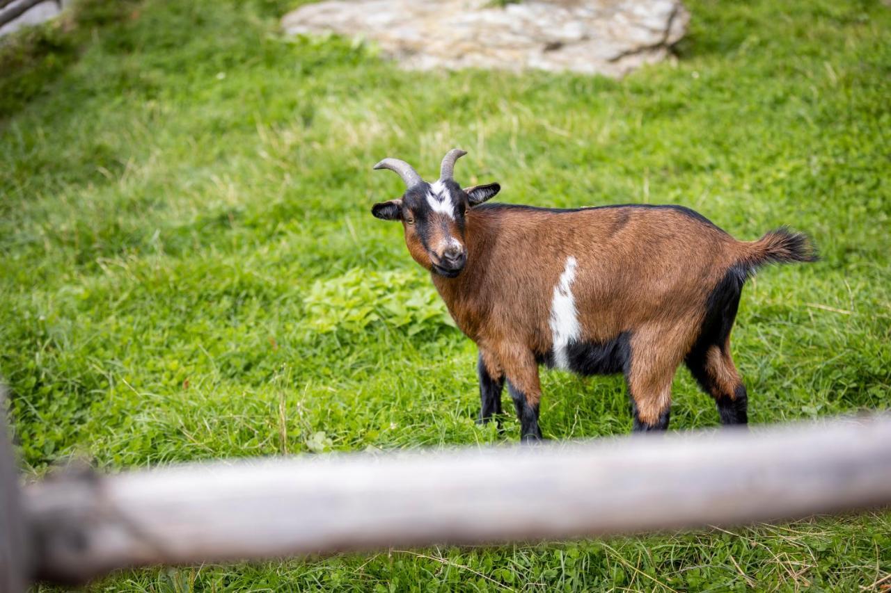 Spreitzhofer Alloggio per agriturismo