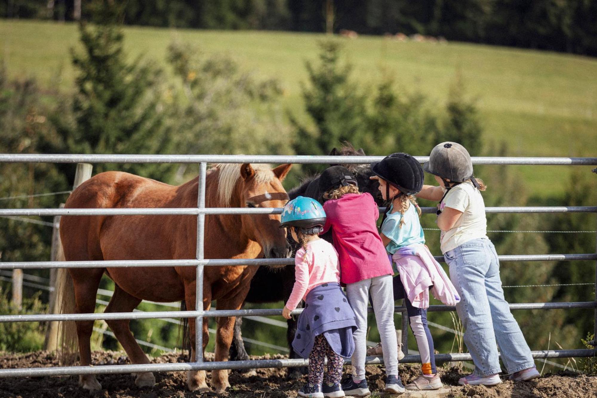 Spreitzhofer 4* Sankt Kathrein am Offenegg